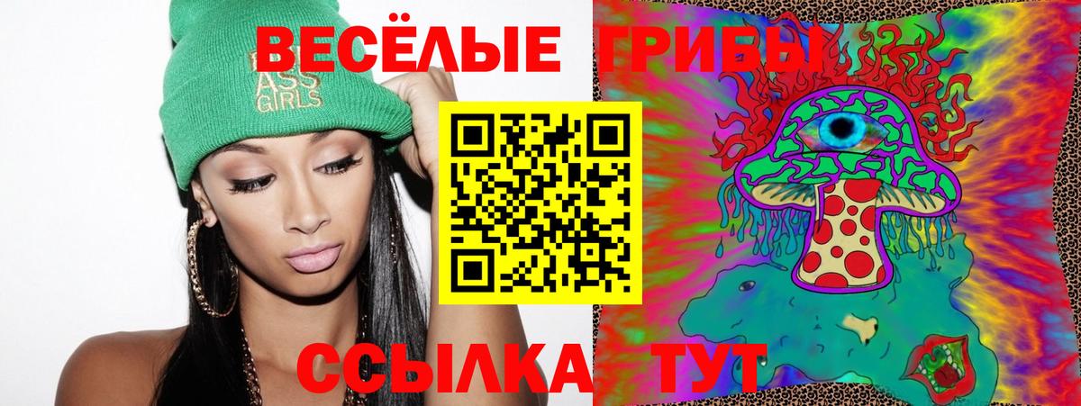 Псилоцибиновые грибы мухоморы  купить   Сланцы  Вход с VPN 